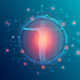 The Science Behind Bioelectrical Impedance Analysis (BIA)