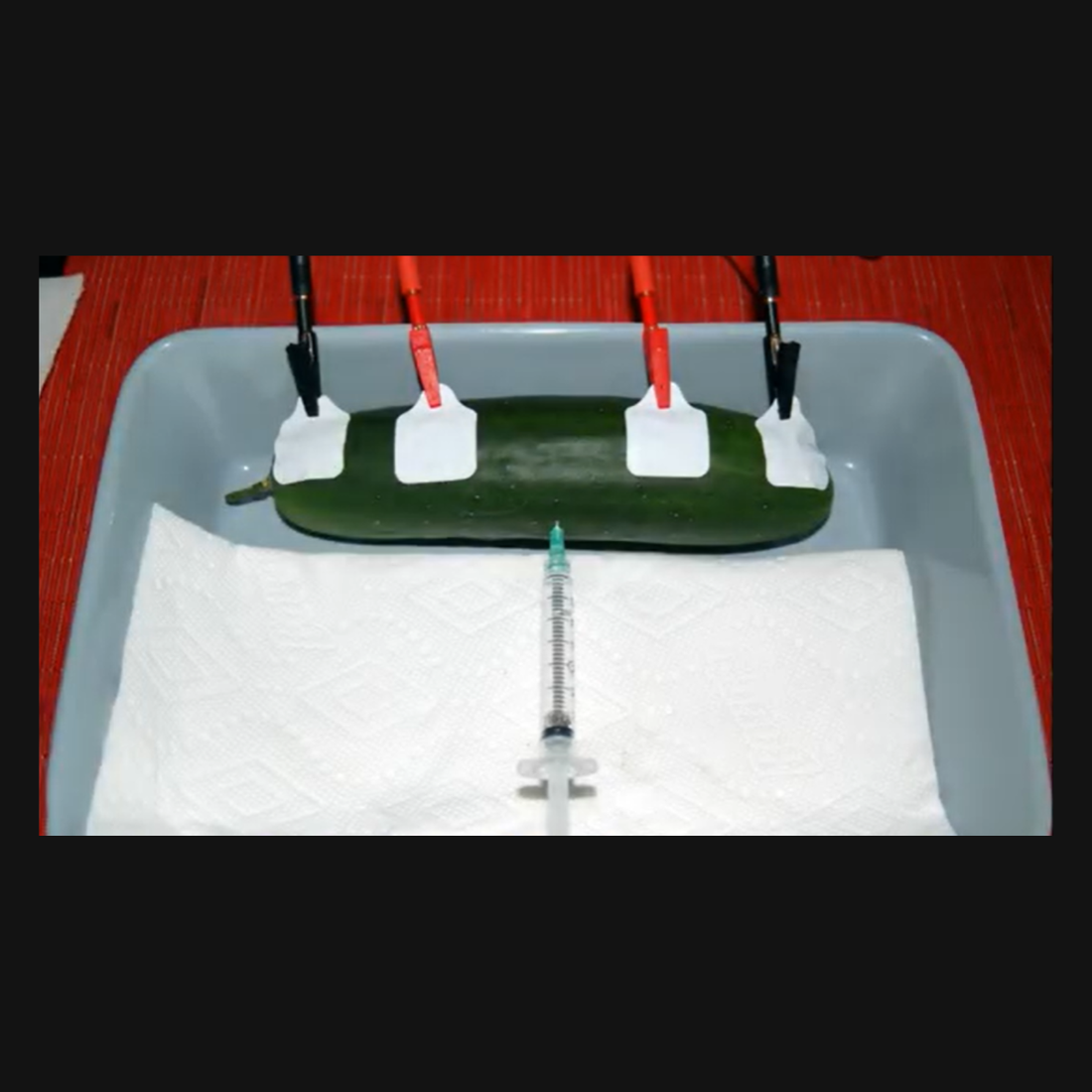 Demonstrating Sensitivity Through a Cucumber Demonstration with the Quantum V